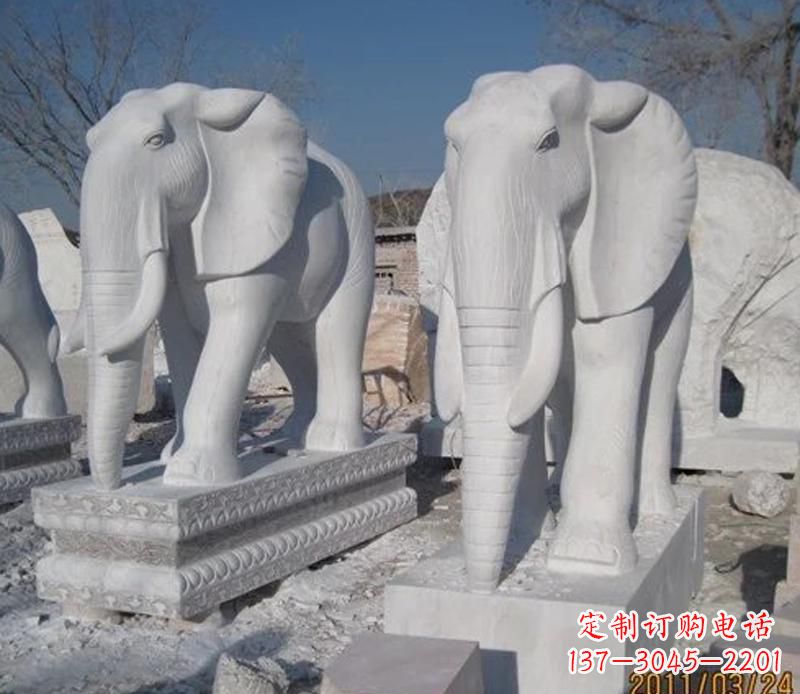 山西白色大象