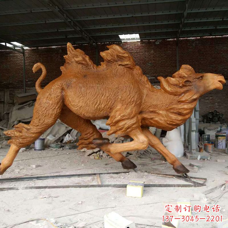 山西活力四射的骆驼