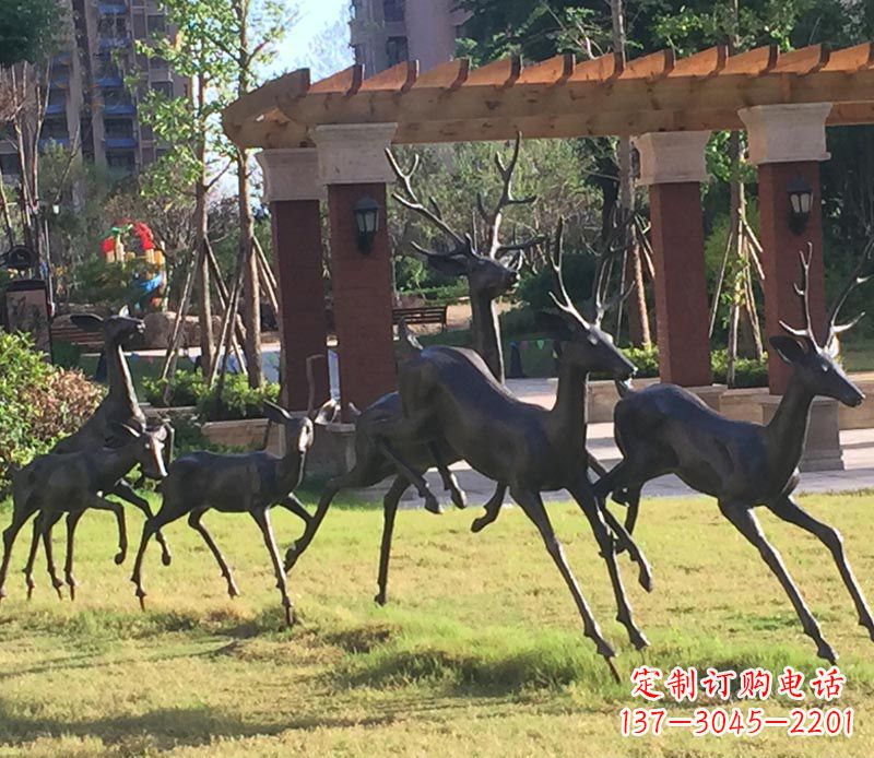 山西“梅花鹿传递自由与美好”
