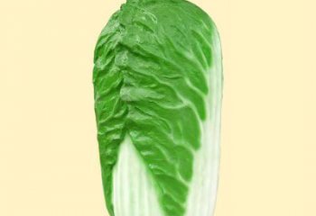 山西玻璃钢白菜雕塑