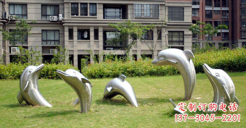山西海豚的浪漫