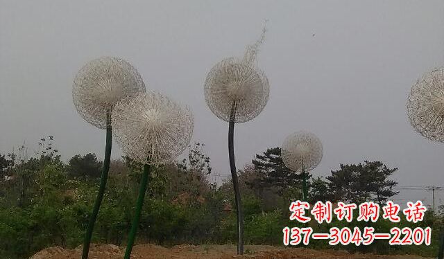 山西蒲公英的绚丽多彩