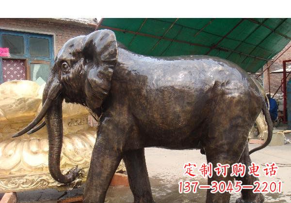 山西精美大象铜雕塑