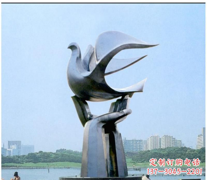 山西静谧之鸽,传递和平象征~