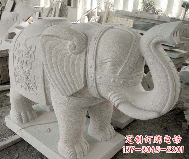 山西令人惊叹的大象石雕