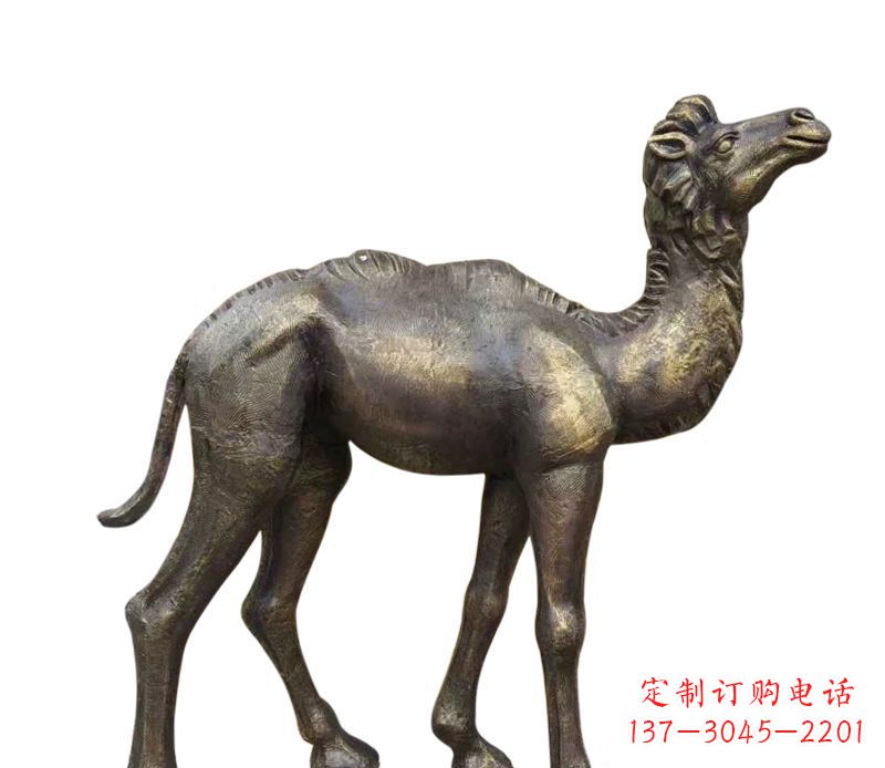 山西奇美洁净的骆驼铜雕