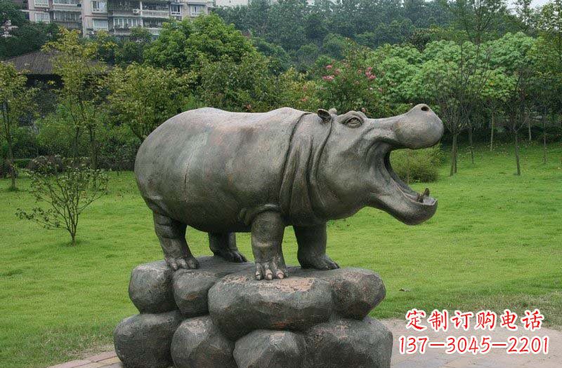 山西海洋动物河马铜雕塑