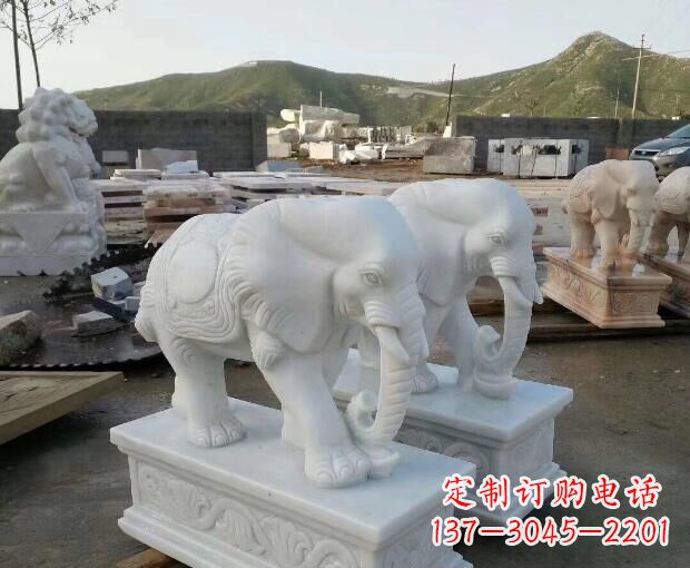 山西汉白玉吉祥如意大象门口石雕 (2)