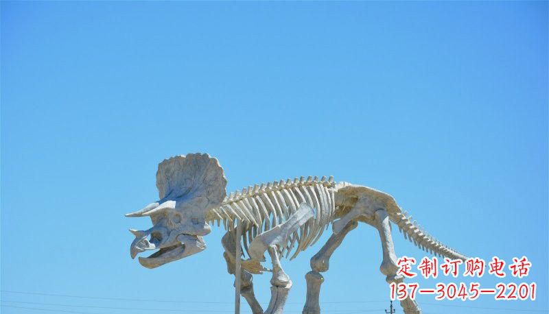 山西玻璃钢恐龙雕塑——悠久历史瑰宝