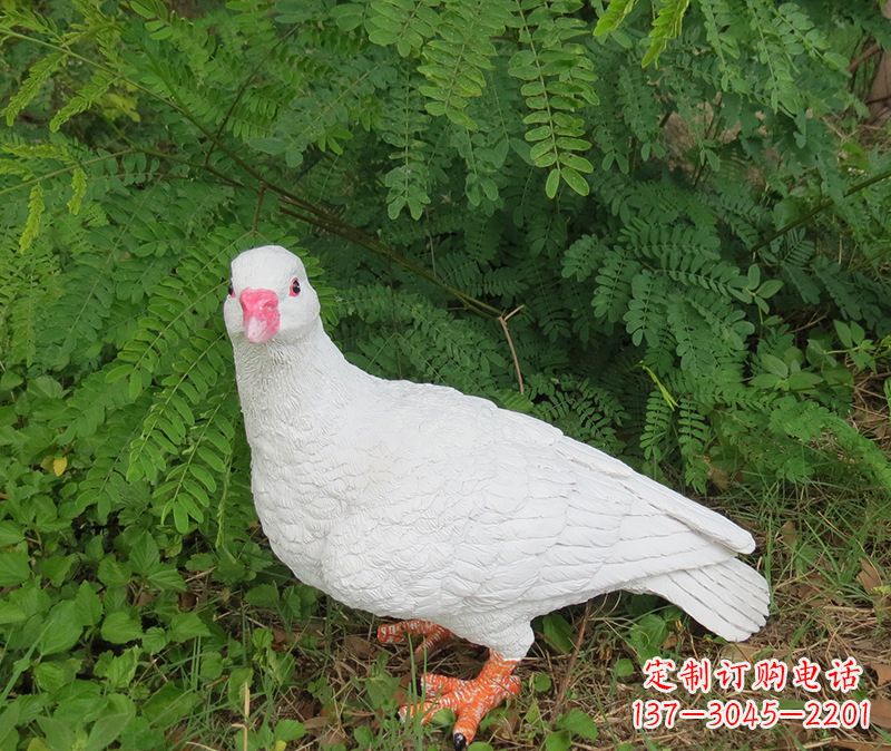 山西灵鸽雕塑鸽子呢