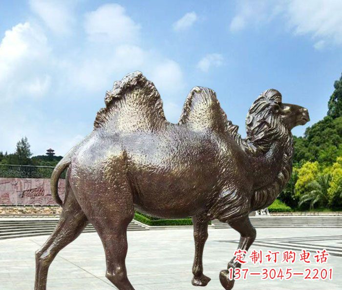 山西骆驼动物铜雕 (2)