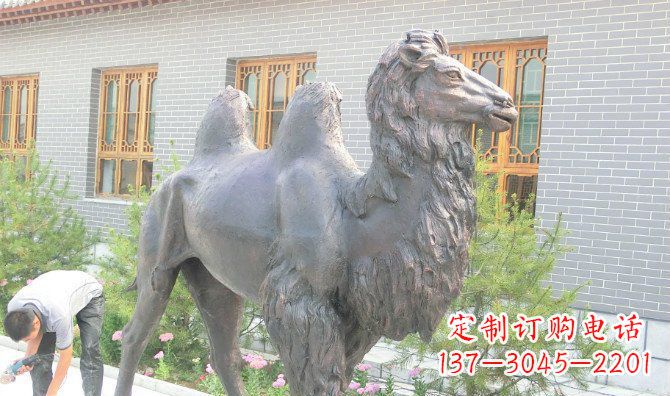 山西精美的骆驼铜雕,提升您的公园气质