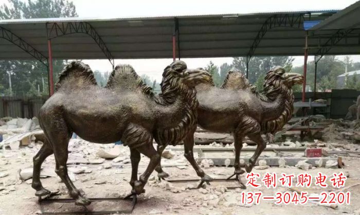 山西典雅优美的骆驼铜雕