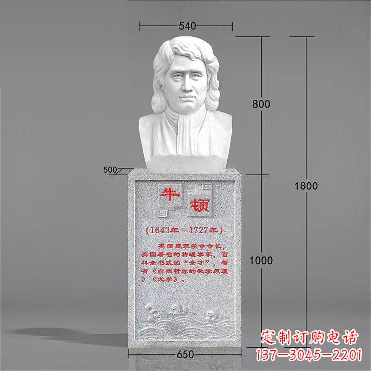 山西艺术精灵:牛顿汉白玉石头像雕塑