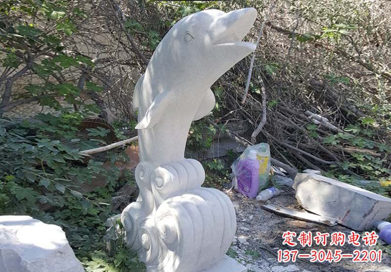 山西海豚雕塑:悠闲无比的精灵