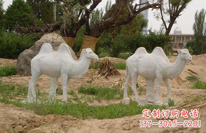 山西欣赏大自然,石雕骆驼公园动物雕塑邀请您