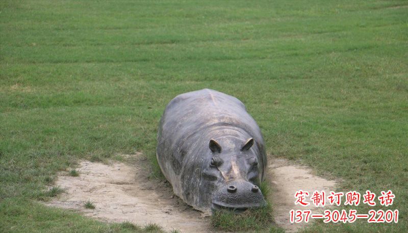 山西铜雕趴着的河马