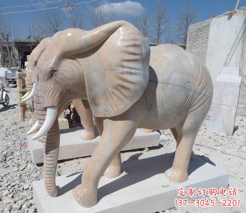 山西晚霞红卷鼻大象