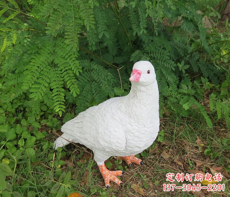 山西潍坊青年路和平鸽灰姑娘雕塑