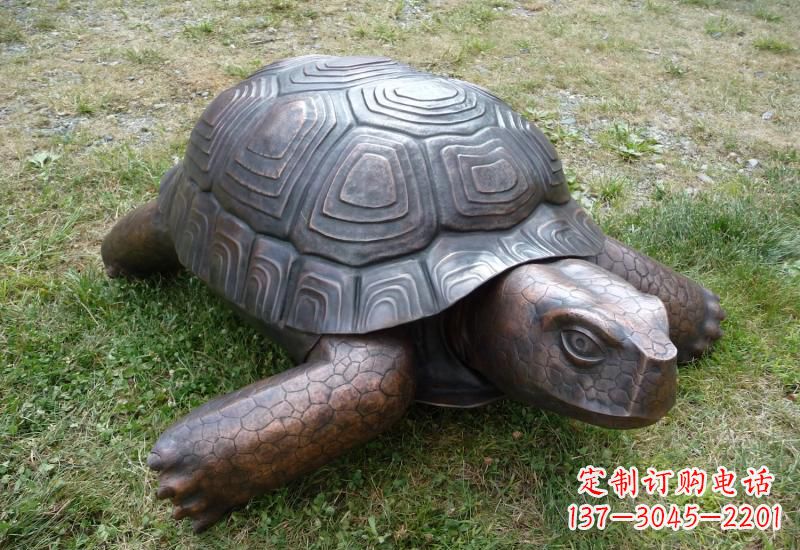 山西乌龟铜雕222
