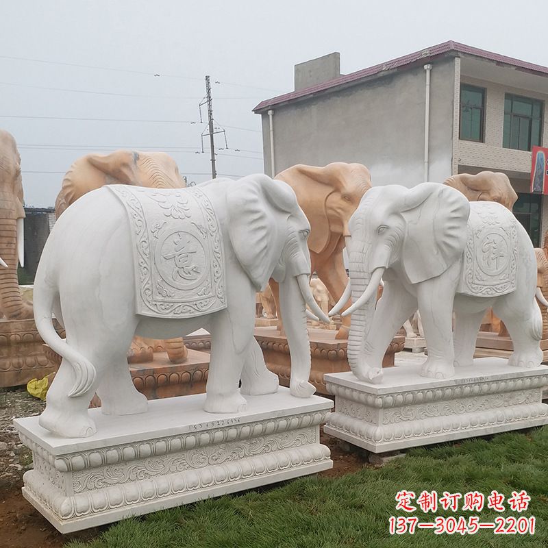 山西学校石雕大象